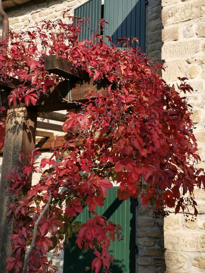 B&B Il Sogno Dovadola Exterior foto